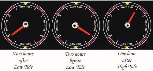 Three Tide Clocks indicating Three Different Cycles